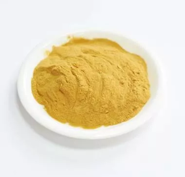 Сухой экстракт спаржи декоративной (трава) (лат. Astragalus membranaceus)